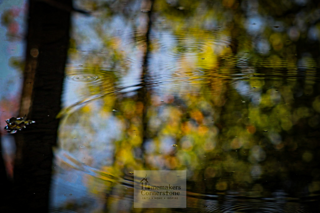 Water fb img 1751552421447 1.webp