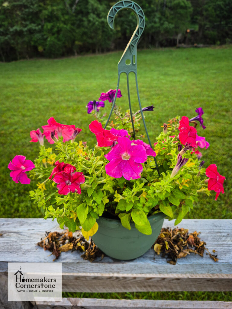 Picture of pink and red flowers in a hanging basket.