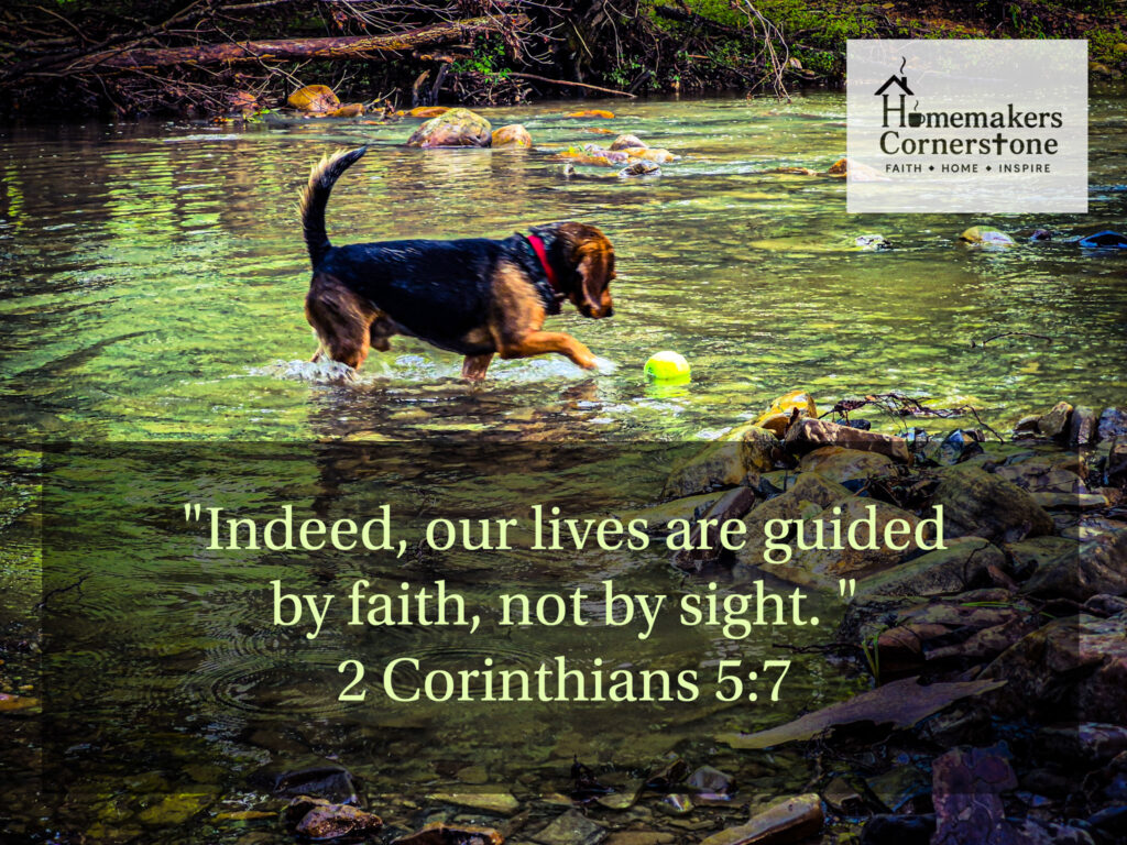 Bj the beagle playing with his ball in the creek. the picture has an overlay with the bible verse “Indeed, our lives are guided by faith, not by sight.”
2 Corinthians 5:7