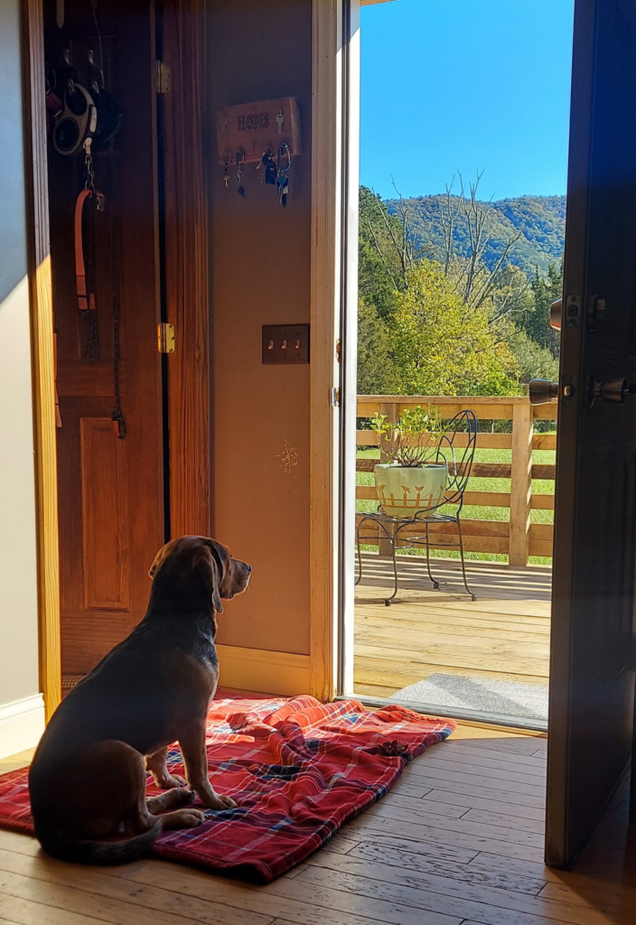 512787473 10231633095943374 2724619932217429815 n