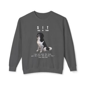 S.I.T. - Stay In Truth - Unisex Lightweight Crewneck Sweatshirt
