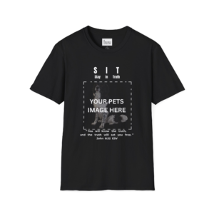 Custom S.I.T. - Stay In Truth - Unisex Softstyle T-Shirt - Border Collie