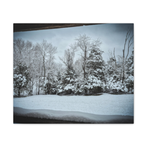 Winter landscape canvas featuring snow-covered Appalachian trees